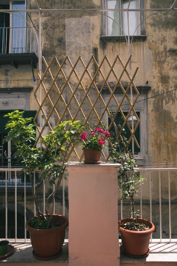 La Casa Del Nespolo, 2 Terrazzi E 2 Bagni In Centro Apartment Napoli Bagian luar foto