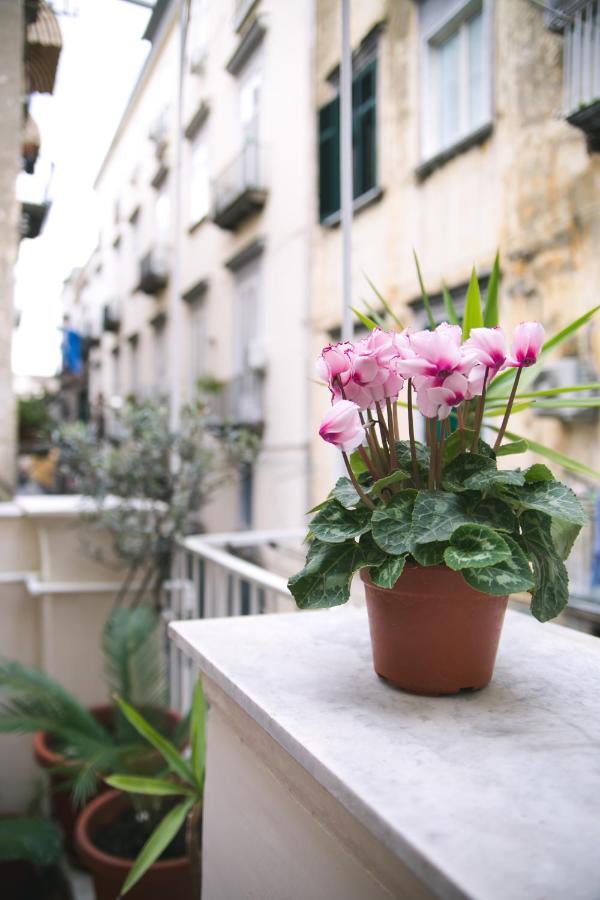 La Casa Del Nespolo, 2 Terrazzi E 2 Bagni In Centro Apartment Napoli Bagian luar foto